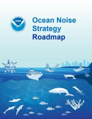 New guidelines show NOAA’s commitment to address effects of ocean noise