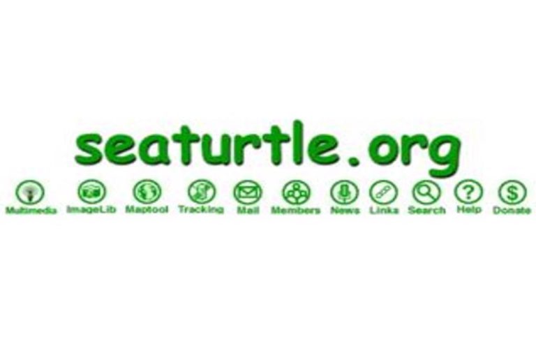 www seaturtle org